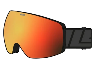 LEM VS317 goggle